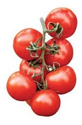 Pomodoro tipo pachino Elisir