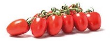 Pomodoro tipo piccadilli Pixel