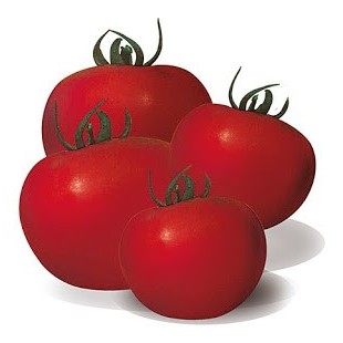 Pomodoro t.l. pyros
