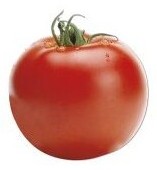 Pomodoro Tondo Big Red