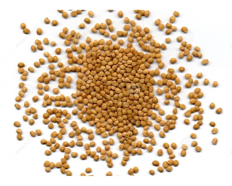 Pomodoro tondo nano pomored