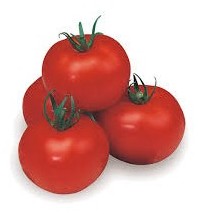 Pomodoro tondo nano Salomone