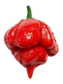 trinidad scorpion butch t