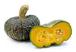zucca marina di chioggia